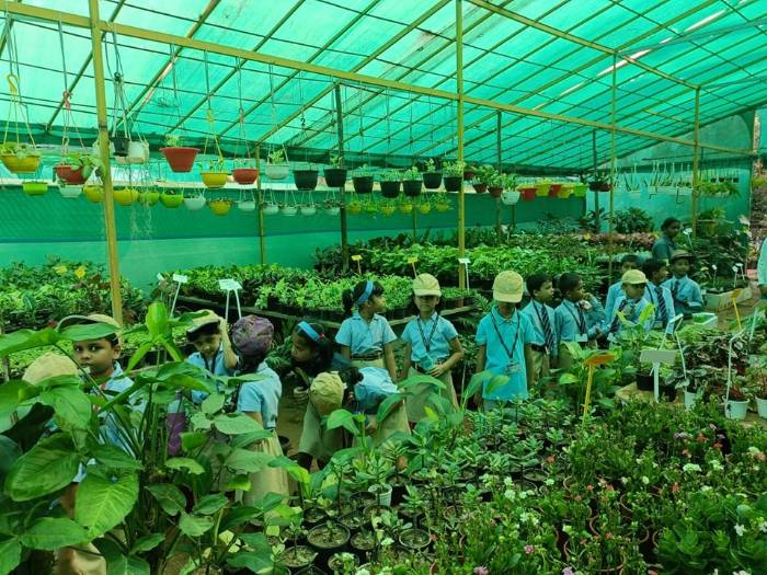 Field Visit Samarth Exotica Plant Nursery - 2022 - ratnagiri